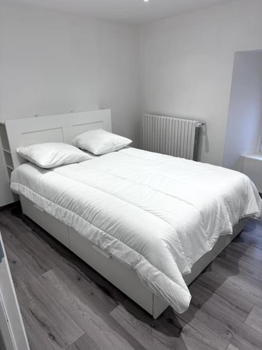 Appartement T4 En Hyper-Centre Bourgoin-Jallieu Εξωτερικό φωτογραφία