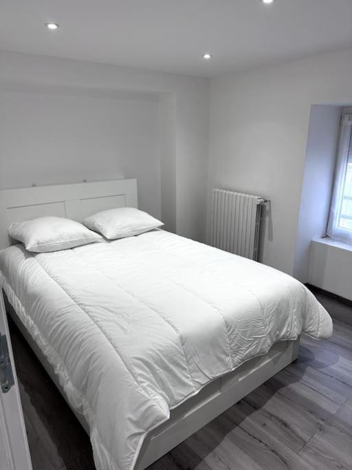 Appartement T4 En Hyper-Centre Bourgoin-Jallieu Εξωτερικό φωτογραφία