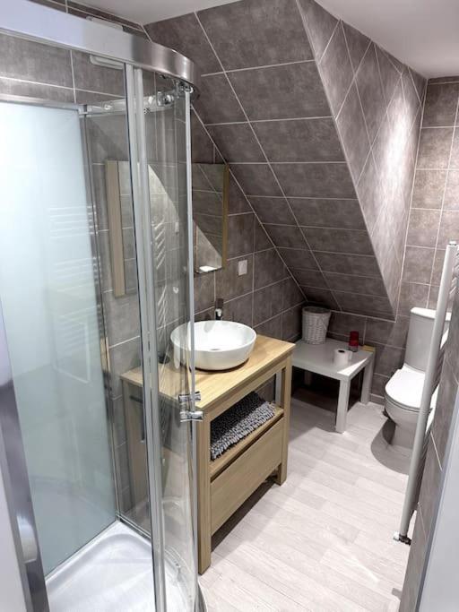 Appartement T4 En Hyper-Centre Bourgoin-Jallieu Εξωτερικό φωτογραφία